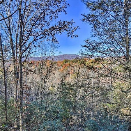 Natures Retreat With Hot Tub 7 Mi To Bryson City Whittier Esterno foto
